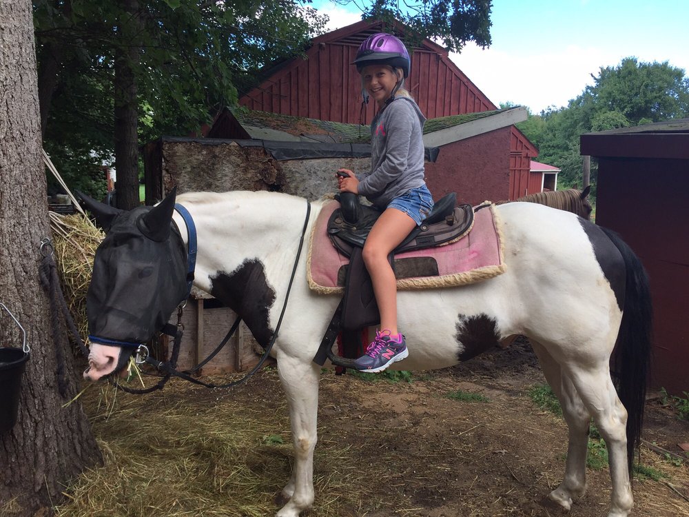 Horseback riding lesson photo 3