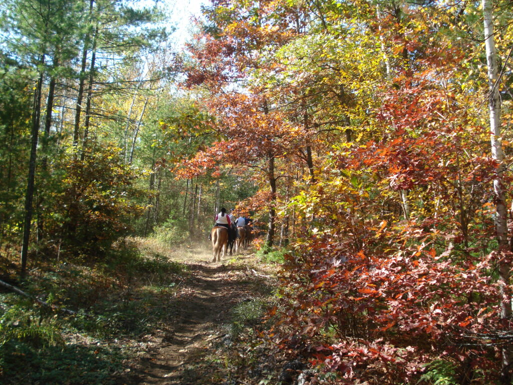 Horseback trail ride in the Fall foliage season